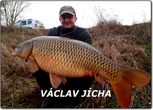 Profil Václav Jícha