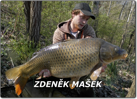 Profil Zdeněk Mašek