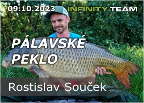 Články