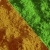Barviva