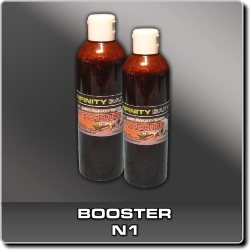 Booster N1