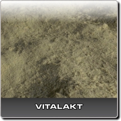 Vitalakt