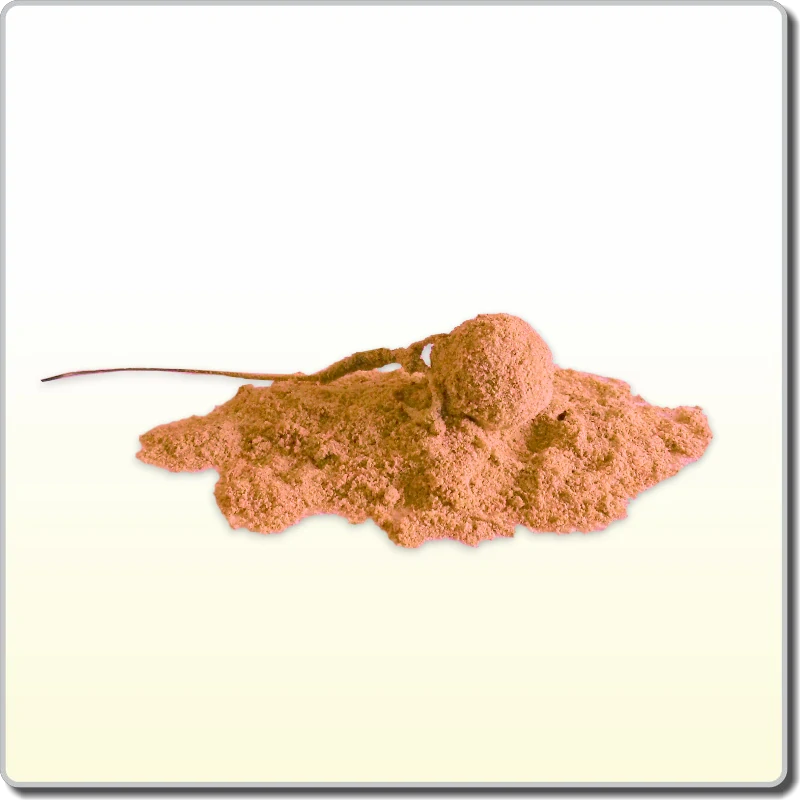 Powder dip Spices